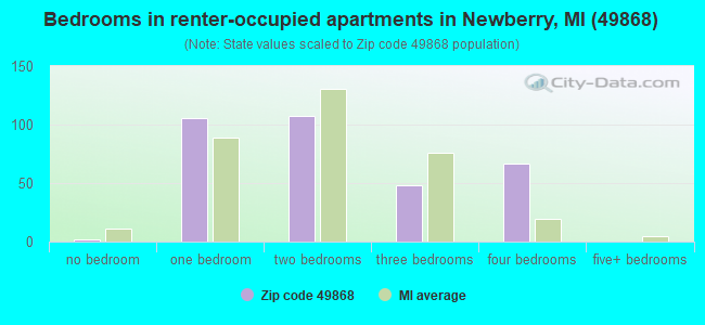 Bedrooms in renter-occupied apartments in Newberry, MI (49868) 