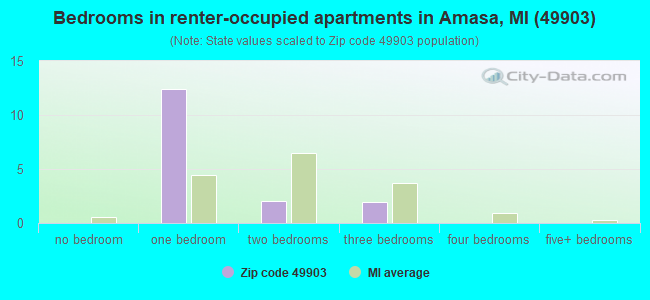 Bedrooms in renter-occupied apartments in Amasa, MI (49903) 
