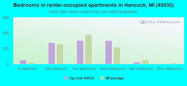 Bedrooms in renter-occupied apartments in Hancock, MI (49930) 