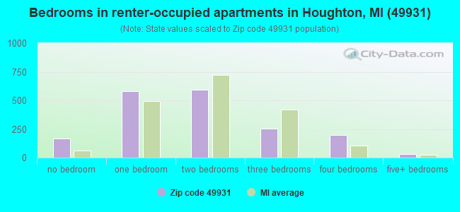 Bedrooms in renter-occupied apartments in Houghton, MI (49931) 