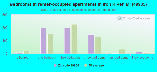 Bedrooms in renter-occupied apartments in Iron River, MI (49935) 