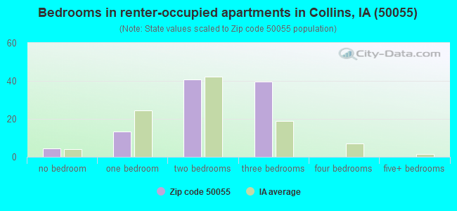 Bedrooms in renter-occupied apartments in Collins, IA (50055) 