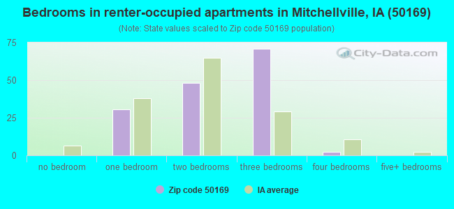 Bedrooms in renter-occupied apartments in Mitchellville, IA (50169) 