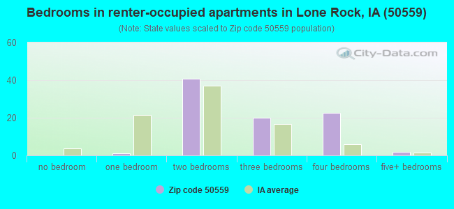 Bedrooms in renter-occupied apartments in Lone Rock, IA (50559) 