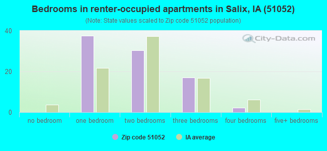 Bedrooms in renter-occupied apartments in Salix, IA (51052) 