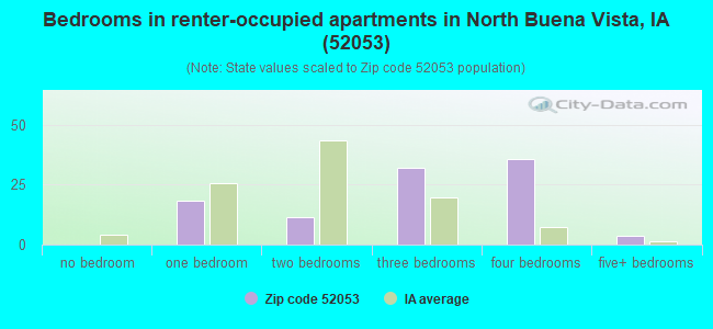 Bedrooms in renter-occupied apartments in North Buena Vista, IA (52053) 