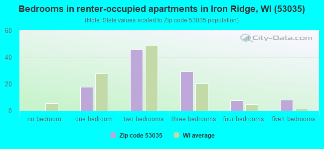 Bedrooms in renter-occupied apartments in Iron Ridge, WI (53035) 