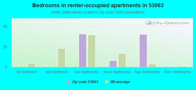 Bedrooms in renter-occupied apartments in 53063 