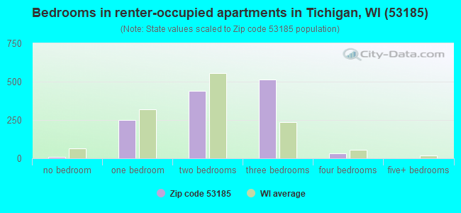 Bedrooms in renter-occupied apartments in Tichigan, WI (53185) 