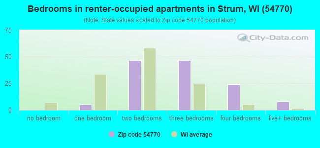 Bedrooms in renter-occupied apartments in Strum, WI (54770) 