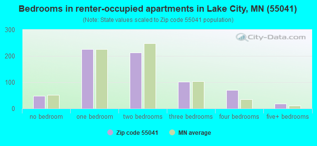 Bedrooms in renter-occupied apartments in Lake City, MN (55041) 