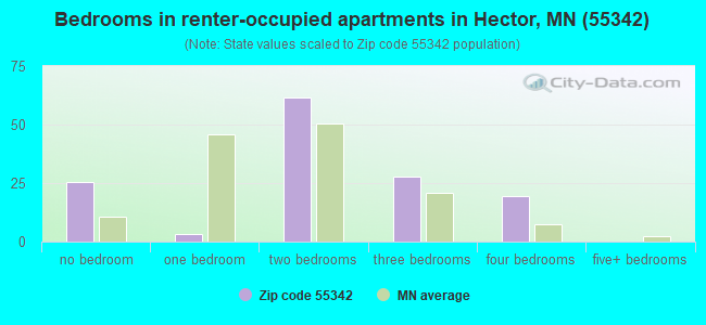 Bedrooms in renter-occupied apartments in Hector, MN (55342) 