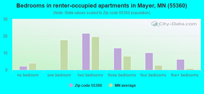 Bedrooms in renter-occupied apartments in Mayer, MN (55360) 