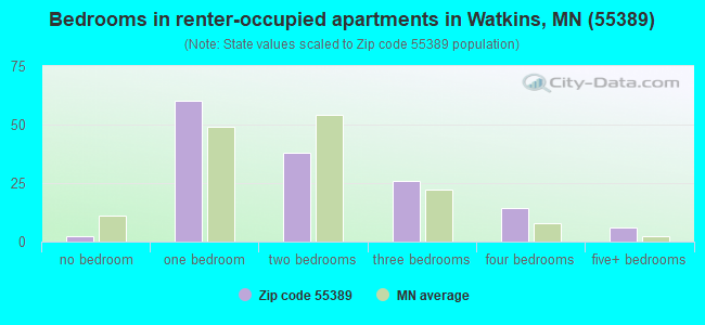 Bedrooms in renter-occupied apartments in Watkins, MN (55389) 