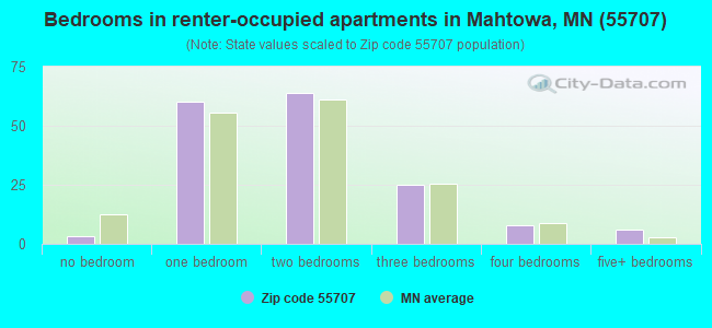 Bedrooms in renter-occupied apartments in Mahtowa, MN (55707) 