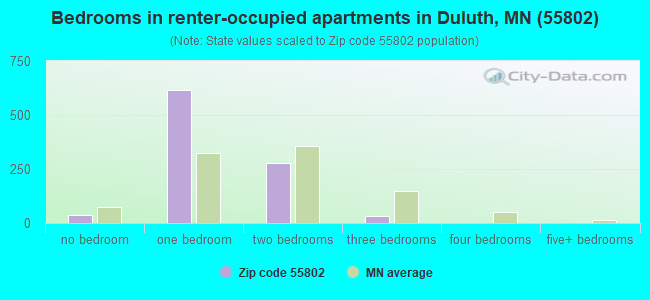 Bedrooms in renter-occupied apartments in Duluth, MN (55802) 