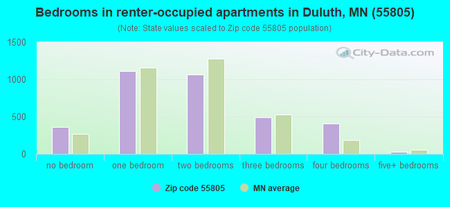 Bedrooms in renter-occupied apartments in Duluth, MN (55805) 