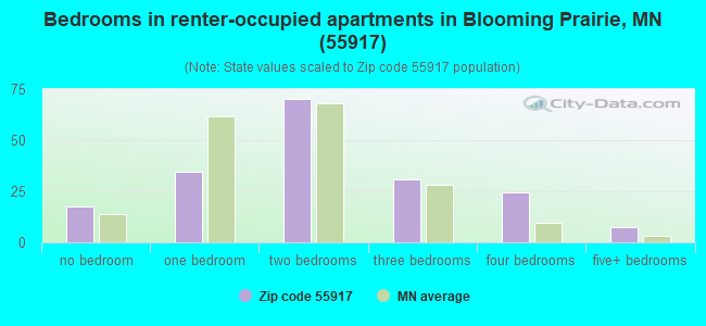 Bedrooms in renter-occupied apartments in Blooming Prairie, MN (55917) 