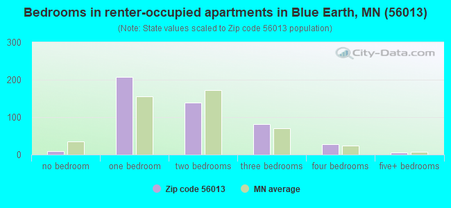 Bedrooms in renter-occupied apartments in Blue Earth, MN (56013) 