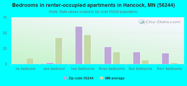 Bedrooms in renter-occupied apartments in Hancock, MN (56244) 