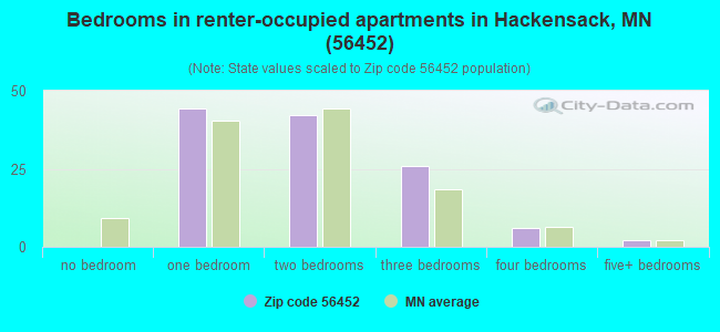 Bedrooms in renter-occupied apartments in Hackensack, MN (56452) 