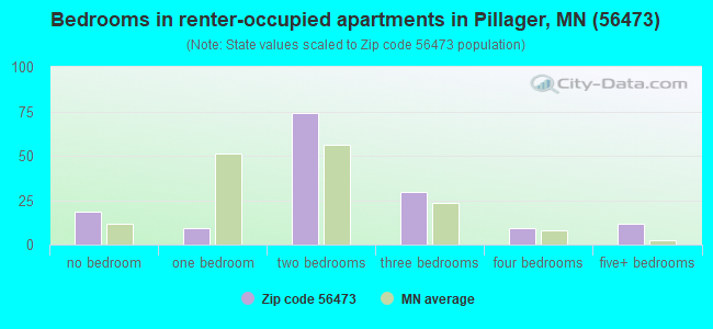 Bedrooms in renter-occupied apartments in Pillager, MN (56473) 