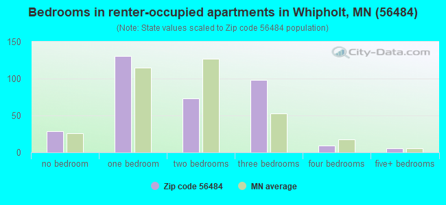 Bedrooms in renter-occupied apartments in Whipholt, MN (56484) 