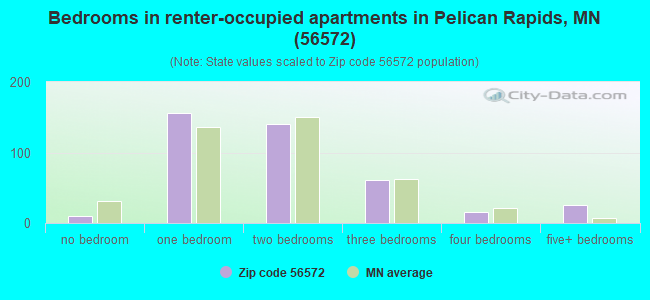 Bedrooms in renter-occupied apartments in Pelican Rapids, MN (56572) 
