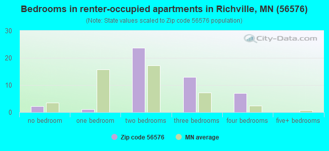 Bedrooms in renter-occupied apartments in Richville, MN (56576) 