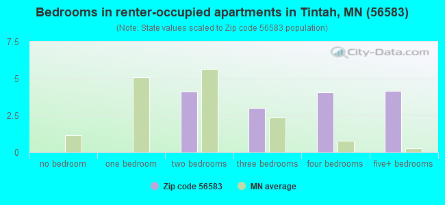 Bedrooms in renter-occupied apartments in Tintah, MN (56583) 