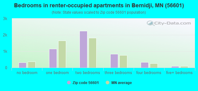 Bedrooms in renter-occupied apartments in Bemidji, MN (56601) 