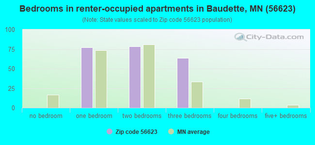 Bedrooms in renter-occupied apartments in Baudette, MN (56623) 