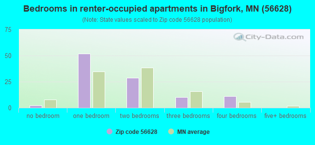 Bedrooms in renter-occupied apartments in Bigfork, MN (56628) 