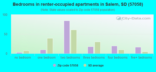 Bedrooms in renter-occupied apartments in Salem, SD (57058) 