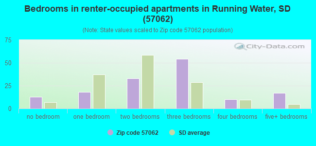 Bedrooms in renter-occupied apartments in Running Water, SD (57062) 