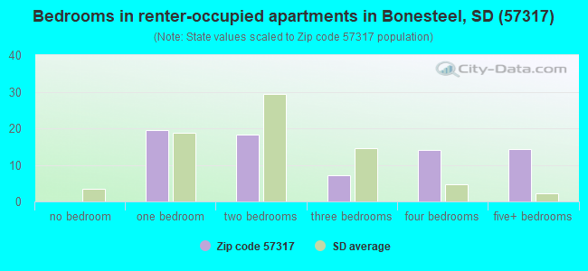 Bedrooms in renter-occupied apartments in Bonesteel, SD (57317) 