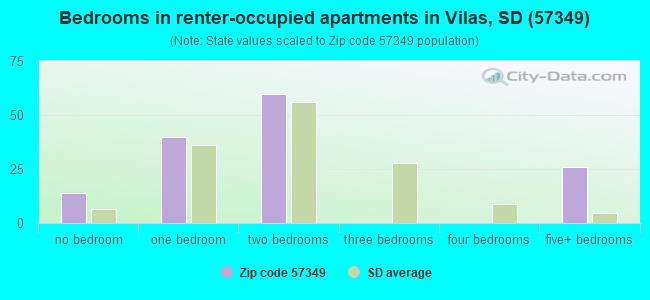 Bedrooms in renter-occupied apartments in Vilas, SD (57349) 
