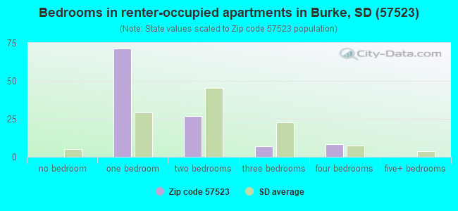 Bedrooms in renter-occupied apartments in Burke, SD (57523) 