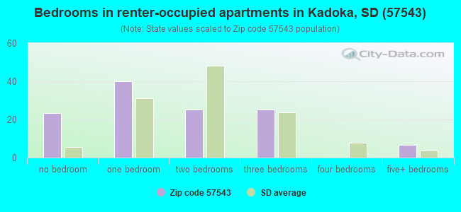 Bedrooms in renter-occupied apartments in Kadoka, SD (57543) 