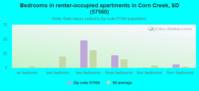 Bedrooms in renter-occupied apartments in Corn Creek, SD (57560) 