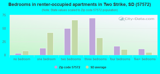 Bedrooms in renter-occupied apartments in Two Strike, SD (57572) 