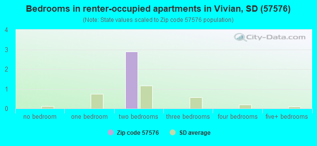 Bedrooms in renter-occupied apartments in Vivian, SD (57576) 