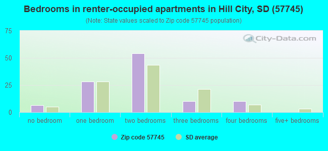 Bedrooms in renter-occupied apartments in Hill City, SD (57745) 