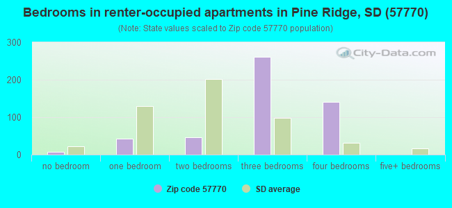 Bedrooms in renter-occupied apartments in Pine Ridge, SD (57770) 