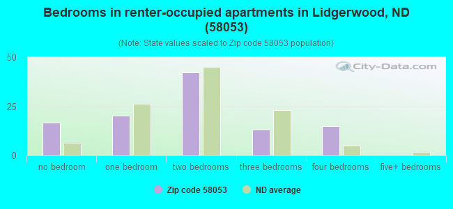 Bedrooms in renter-occupied apartments in Lidgerwood, ND (58053) 