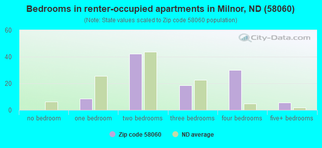 Bedrooms in renter-occupied apartments in Milnor, ND (58060) 