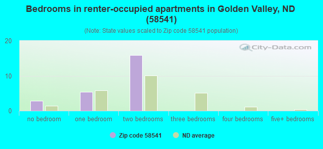 Bedrooms in renter-occupied apartments in Golden Valley, ND (58541) 