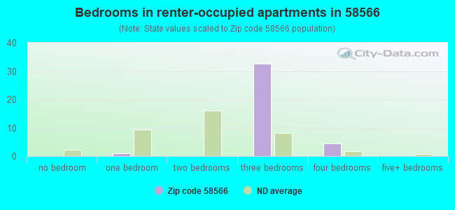 Bedrooms in renter-occupied apartments in 58566 