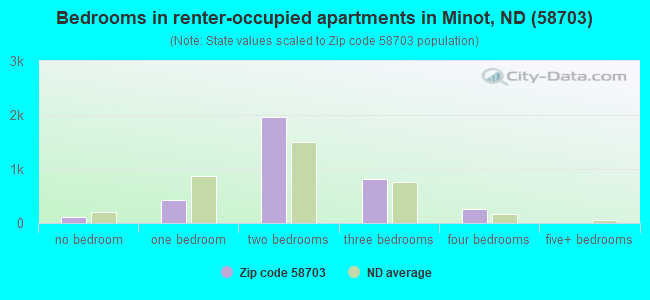 Bedrooms in renter-occupied apartments in Minot, ND (58703) 