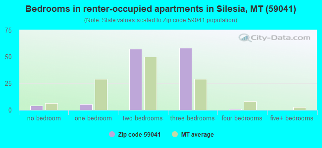 Bedrooms in renter-occupied apartments in Silesia, MT (59041) 
